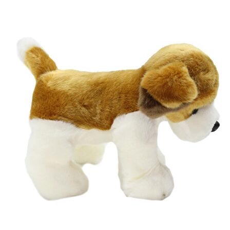 Saint Bernard Köpek Peluş Oyuncak 30 cm