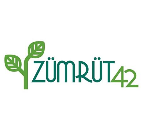 Zümrüt 42 | Cino Fasulye Tohumu 2kg