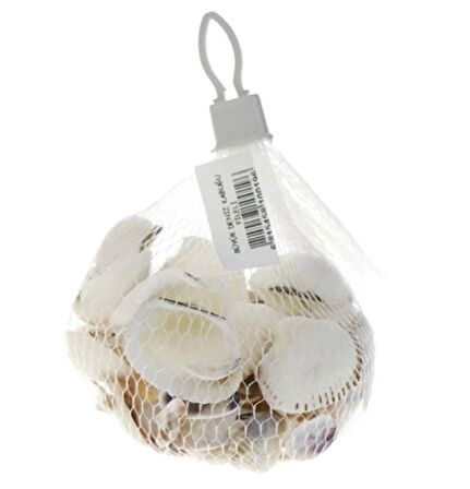 Deniz Kabuğu Filede