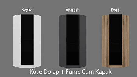 Minar Kale 1 Füme Cam Kapaklı Köşe Dolap Dore Ceviz - 210CM