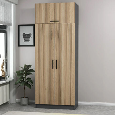 Minar Kale 2 Kapaklı Dolap Ve Yüklük Antrasit Dore 235CM