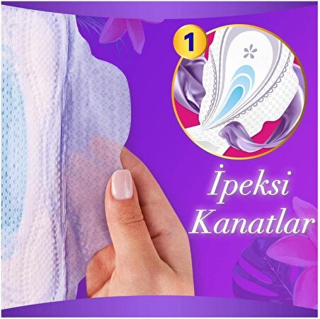 Orkid Platinum Normal Ped 48x3 144 Adet