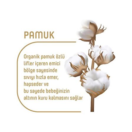 Pure Baby Organik Pamuklu Bebek Bezi 5 Beden 40*3 120 Adet