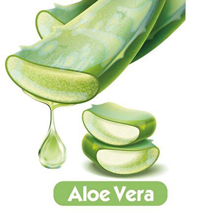 Baby Turco Softcare Aloea Vera Islak Havlu Mendil 90x6 540 Yaprak