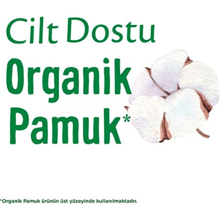 Molped Pure Soft Gece Mega Fırsat Paketi 30'lu 5 Paket