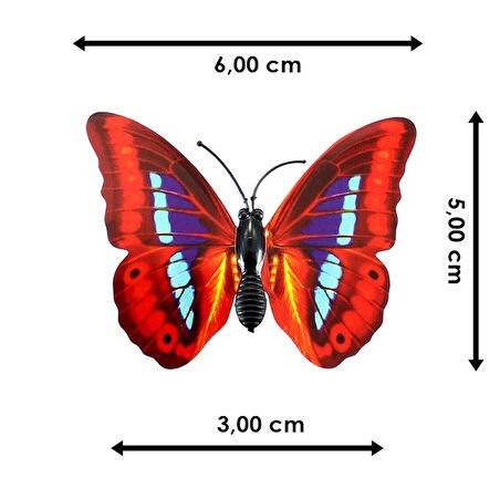 3 Boyutlu ve Mandallı, Çok Renkli Kelebek SüS - 5 Adet