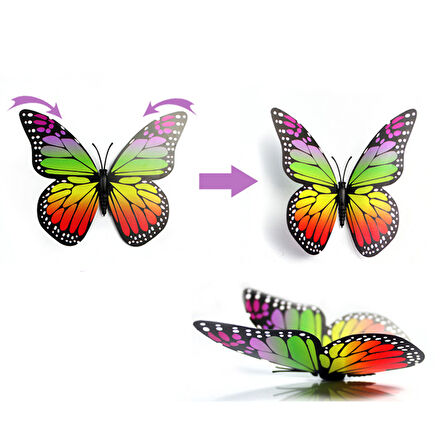 3 Boyutlu ve Mandallı, Çok Renkli Kelebek SüS - 5 Adet
