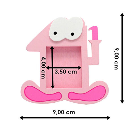 1 Yaş Günü Çerçevesi PEMBE/LAVANTALI