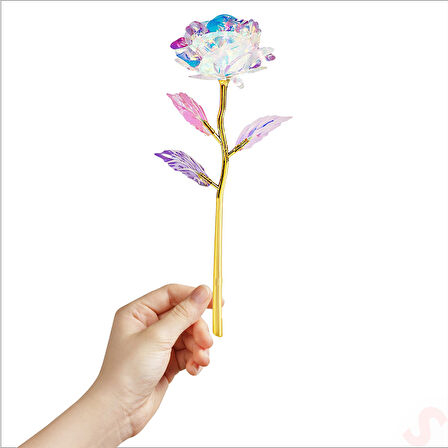 Sonsuzluk Gülü, 25 cm x 8cm - Hologram