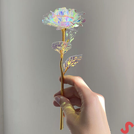 Sonsuzluk Gülü, 25 cm x 8cm - Hologram
