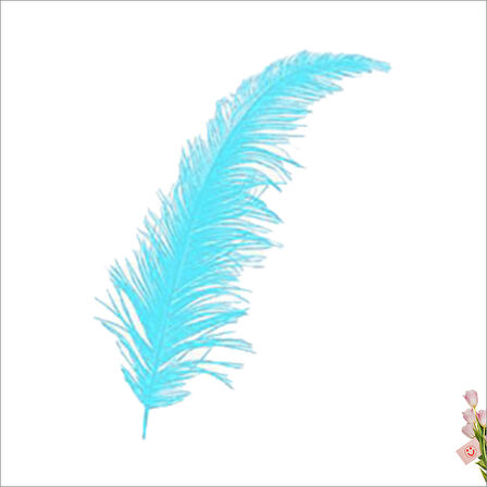 Şeffaf Balon İçi Kuş Tüyü, 100 Adet - Mavi