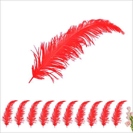 Şeffaf Balon İçi Kuş Tüyü, 100 Adet - Kırmızı