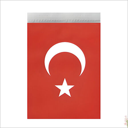 Ay Yıldız 20cm x 11cm İpli Kağıt Bayrak, 5mt - 40 Adet