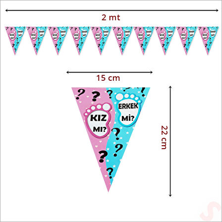 Cinsiyet Partisi, Kız Mı? Erkek Mi? Üçgen Flama - 2 mt.