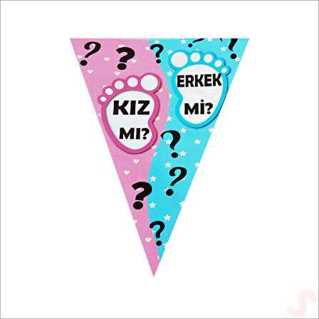 Cinsiyet Partisi, Kız Mı? Erkek Mi? Üçgen Flama - 2 mt.