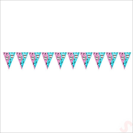 Cinsiyet Partisi, Kız Mı? Erkek Mi? Üçgen Flama - 2 mt.