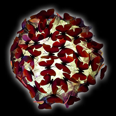 Led Işıklı Kelebek Buketi - 45cm x 30cm