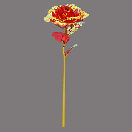 Sonsuzluk Gülü, 25 cm x 8cm - Kırmızı