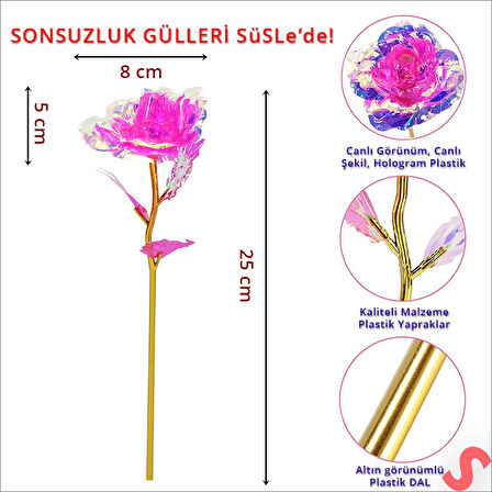 Sonsuzluk Gülü, 25 cm x 8cm - Pembe