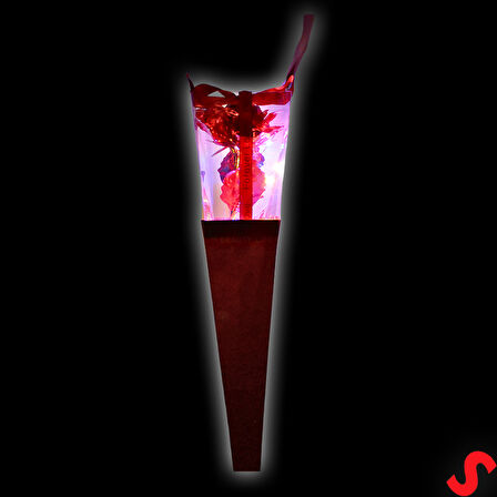 Kutulu ve Led Işıklı Sonsuzluk Gülü, 35cm - Kırmızı