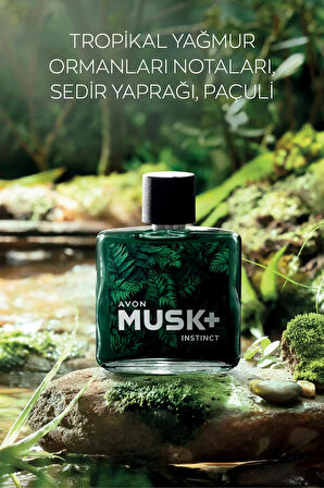 Avon Musk Marine Musk Rain ve Musk Mineralis Erkek Parfüm Paketi