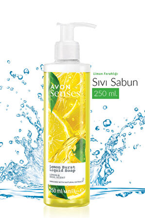 Avon Senses Lemon Burst Limon ve Reyhan Kokulu Sıvı Sabun 250 Ml. Üçlü Set