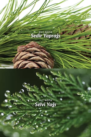 Avon Musk Metropolitano Erkek Parfüm Edt 75 Ml. Üçlü Set