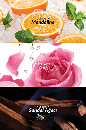 Lov U Connected Kadın Vücut Losyonu 125 Ml. İkili Set