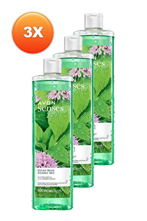 Senses Water Mint Nane ve Salatalık Kokulu Duş Jeli 500 Ml. Üçlü Set