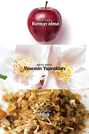 Eve Prive Kadın Parfüm 50+10 ve Vücut Losyounu Paketi