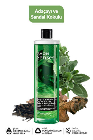Nane Deniz Adaçayı Sandal Greyfurt ve Bergamot Kolu Erkek Duş Jeli Paketi