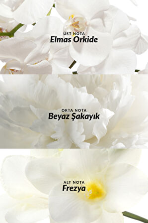 Incandessence Perceive ve Far Away Glamour Kadın Parfüm Paketi