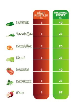 Natura Freshbag Tazeliği Koruyan Poşet İki Paket