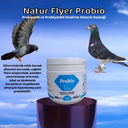 Natur Flyer Probio Probiyotik ve Prebiyotikli Sindirim Sistemi Desteği (800 Tablet)