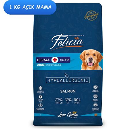 Felicia Somonlu Küçük Irk Yetişkin Açık Kuru Köpek Maması 1 kg