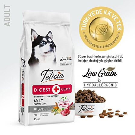 Felicia Medium & Large Kuzu Etli 15 kg Orta ve Büyük Irk Yetişkin Köpek Maması