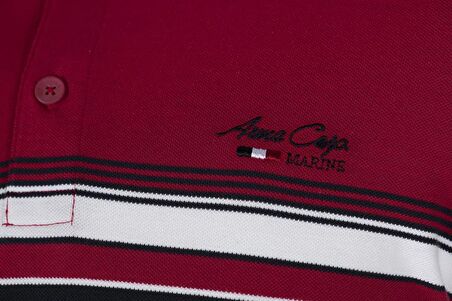 Arma Erkek Slim Fit Polo Yaka Tişört 