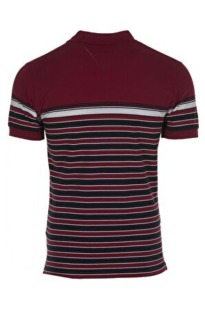 Arma Erkek Slim Fit Polo Yaka Tişört 