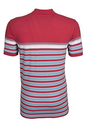 Arma Erkek Slim Fit Polo Yaka Tişört 