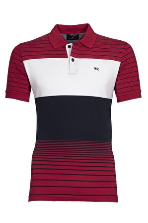 Arma Erkek Polo Yaka Tişört 