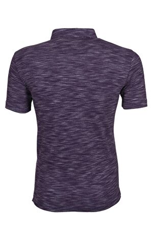 Arma Erkek Regular Fit Polo Yaka Tişört 