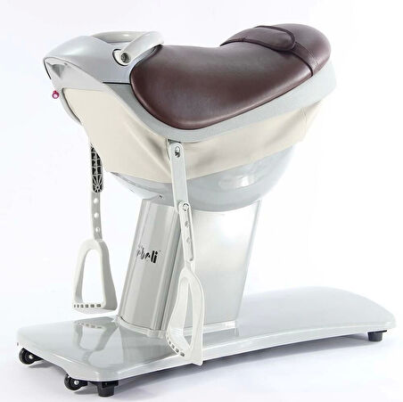 Hipoterapi Cihazı At Binme Simülasyonu | 20 Hız Kademeli ve Dokunmatik Ekranlı VMAXİ0082