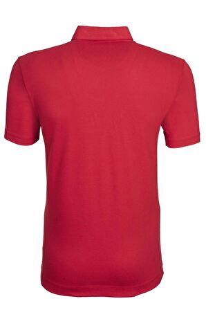 Arma Erkek Basic Slim Fit Polo Yaka Tişört 