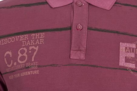 Arma Erkek Polo Yaka Tişört 