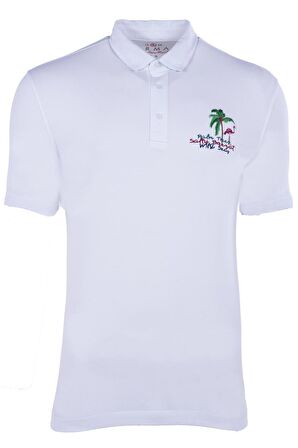 Arma Erkek Polo Yaka Tişört 