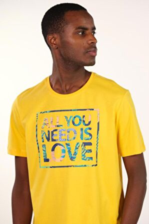 Arma Erkek Bisiklet Yaka Tişört 