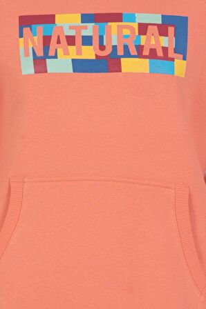 Arma Erkek Kapüşonlu Sweatshirt 