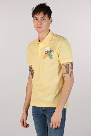 Arma Erkek Büyük Beden Polo Yaka Tişört 