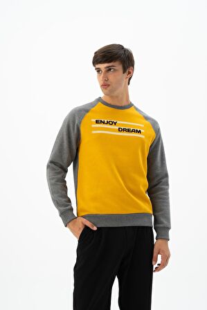 Arma Erkek Büyük Beden Bisiklet Yaka Sweatshirt 