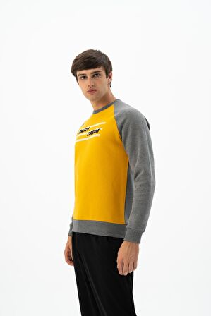Arma Erkek Büyük Beden Bisiklet Yaka Sweatshirt 